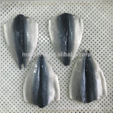 Chinese Frozen Fish Mackerel Flaps Mackerel Fillets